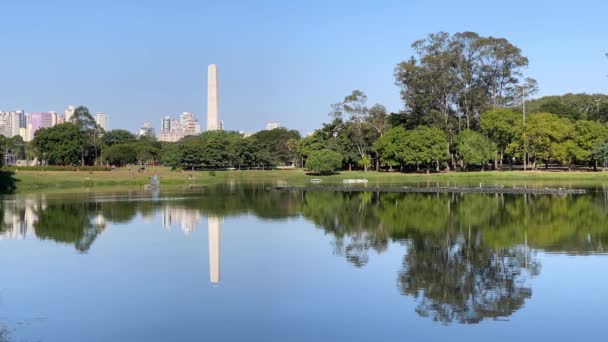 Sao Paulo Brasilien Maj 2020 Sola Parken Ibirapuera Den Största — Stockvideo