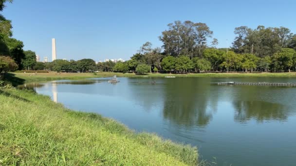 イビラプエラ公園で日光浴をする人々 市内最大の公園で 博物館 プラネタリウム 自転車道や裁判所があるレジャーエリア — ストック動画