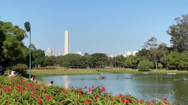 Sao Paulo Brezilya Mayıs 2020 Ibirapuera Parkında Güneşlenen Insanlar Şehirdeki — Stok video