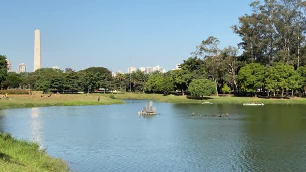巴西圣保罗 2020年5月10日 人们在圣保罗市最大的公园Ibirapuera公园日光浴 — 图库视频影像