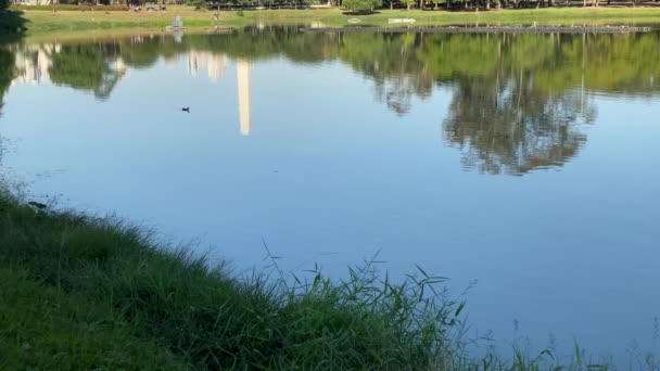 イビラプエラ公園 サンパウロ最大の公園で 博物館 プラネタリウム 自転車道や裁判所があるレジャーエリア — ストック動画