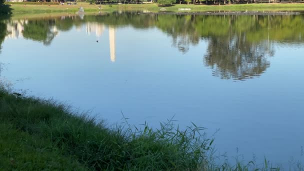 人们在Ibirapuera公园日光浴 市内最大的公园 有博物馆 天文馆 礼堂和有自行车道和庭院的休闲区 — 图库视频影像