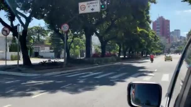 São Paulo Brasil Abril 2020 Famosa Avenida Brasil Com Todos — Vídeo de Stock