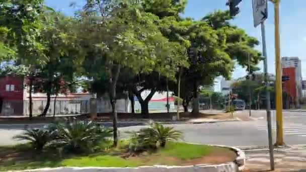 San Paolo Brasile Aprile 2020 Attraversamento Tra Famoso Viale Brasil — Video Stock