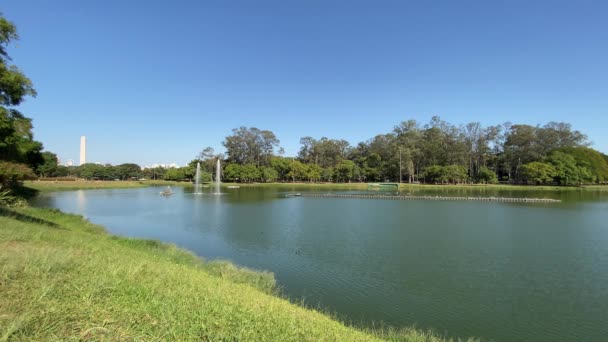 Parque Ibirapuera Parque Más Grande Sao Paulo Con Museos Planetario — Vídeo de stock