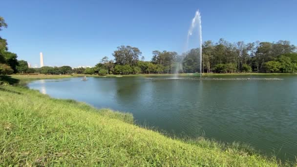イビラプエラ公園の噴水 サンパウロ最大の公共公園で 博物館 プラネタリウム 自転車道や裁判所のあるレジャーエリアがあります — ストック動画