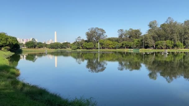 Sao Paulo Brasilien Maj 2020 Ibirapuera Park Största Staden Med — Stockvideo