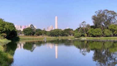 Beyaz bir balıkçıl Sao Paulo 'daki Ibirapuera halk parkında göle dokunuyor. Parkta müzeler, planetaryum, konferans salonu ve eğlence alanları var..