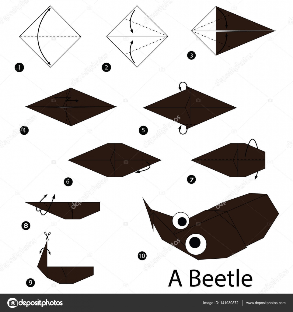 Schritt Für Schritt Anleitung Wie Man Origami A Käfer
