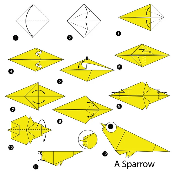 Schritt für Schritt Anleitung, wie man aus Origami einen Spatz macht. — Stockvektor