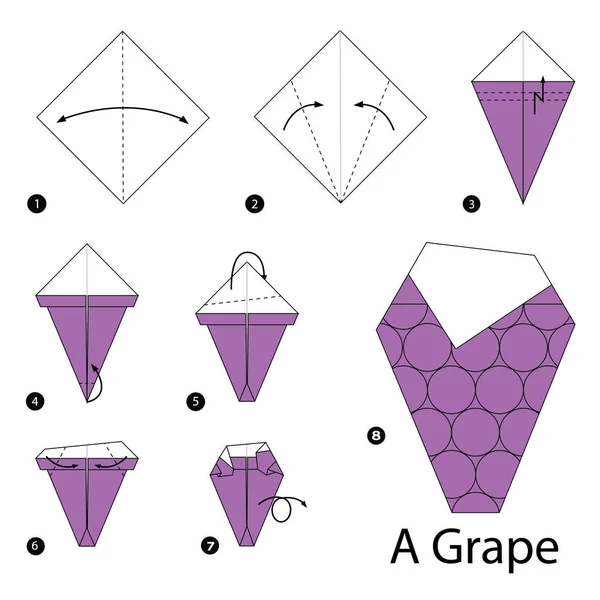 Instruções passo a passo como fazer origami Uma uva . —  Vetores de Stock