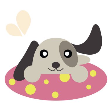 Köpek bir halı üzerinde