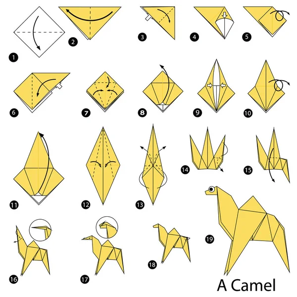 Step by step instructions how to make origami A Camel — Stock Vector