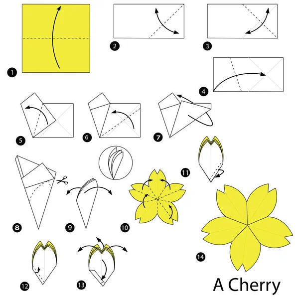 Step by step instructions how to make origami A Cherry — Stock Vector