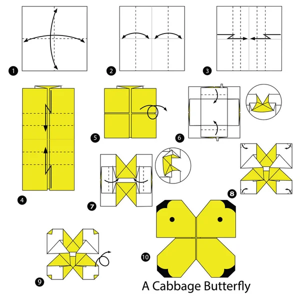 Schritt Für Schritt Anleitung Wie Man Origami Einem Kohlschmetterling Macht — Stockvektor