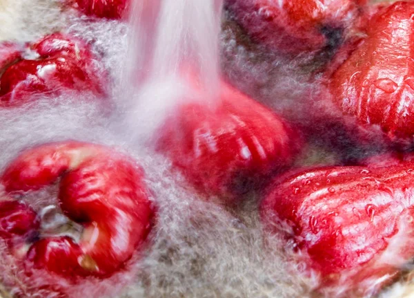 Lavar la manzana rosa en agua — Foto de Stock