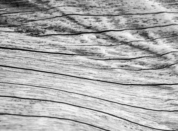 Texture della vecchia superficie del tronco di legno — Foto Stock