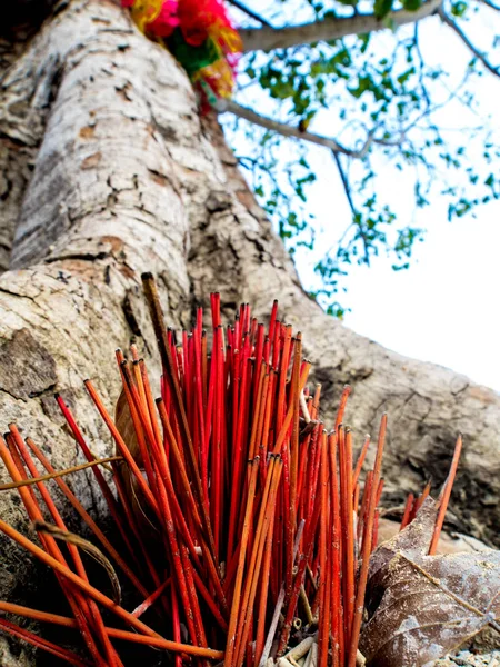 The colored ribbons and incense sticks at the holy tree — Stock Photo, Image