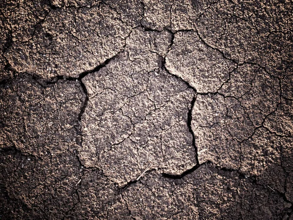 Riss und Trennung von getrocknetem Boden — Stockfoto