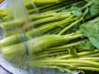 Morning glory ve Çince lahana suda yıkayın