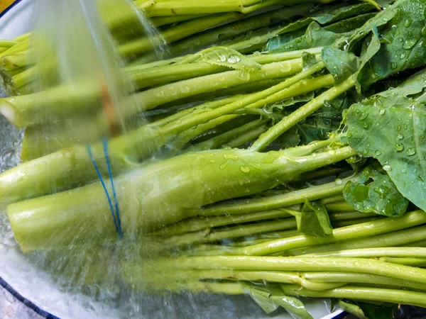 Morning glory ve Çince lahana suda yıkayın