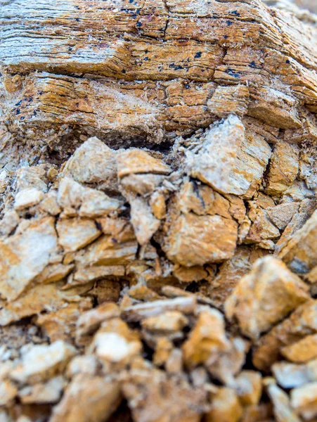 岩石山地土壤上的石质和土壤结构 — 图库照片
