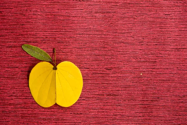 Blätter wie Apfel auf rotem Hintergrund — Stockfoto