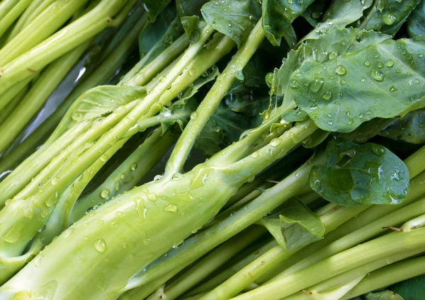 Thai Morning glory and Chinese Kale wash in water — Stok Foto