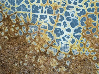 Cilalı beton yüzeyinde çatlaklar