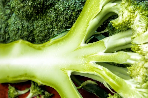 Detalle de la suculenta fresca dentro del brócoli — Foto de Stock