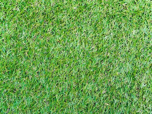 Texture di erba plastica sul tappeto erboso artificiale — Foto Stock