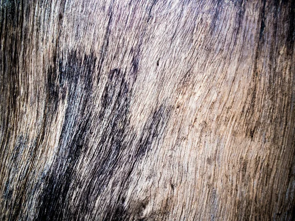 Gros plan sur l'ancienne souche Texture du bois — Photo