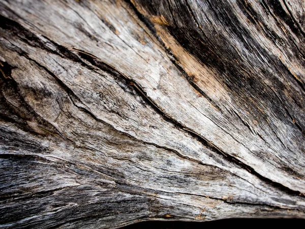 Textura da superfície de madeira do toco velho — Fotografia de Stock