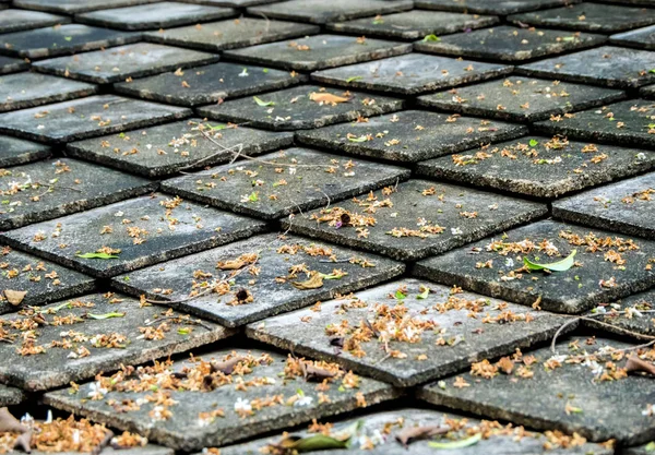 Yellow leaf fall on square shape roof tiles