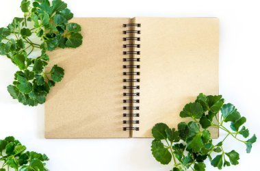 Kraft kağıt spiral defter yeşil yaprakları ile çerçeve olarak