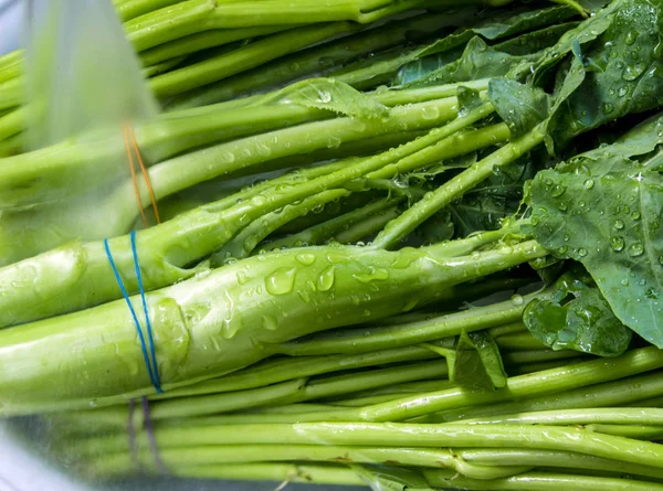 Pagi kemuliaan dan Chinese Kale mencuci dalam air — Stok Foto