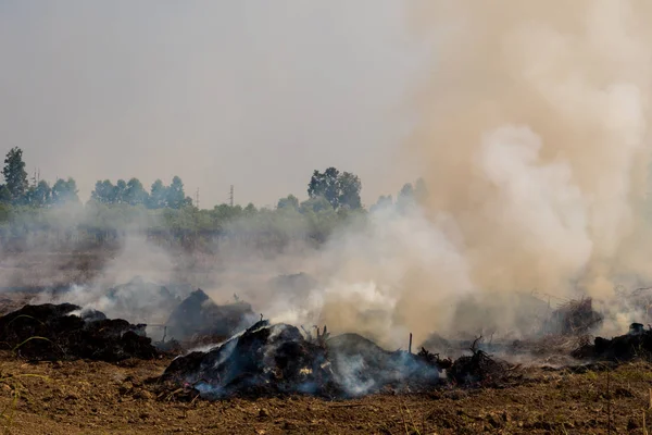 Dense dust and smoke from burning stubble in post-harvest agricultural