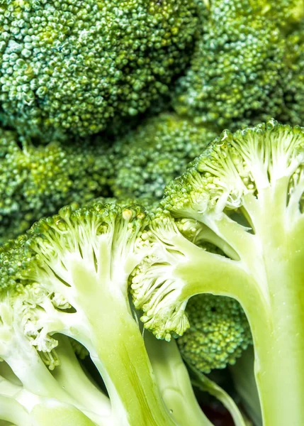 Detail der Sukkulente frisch im Brokkoli — Stockfoto