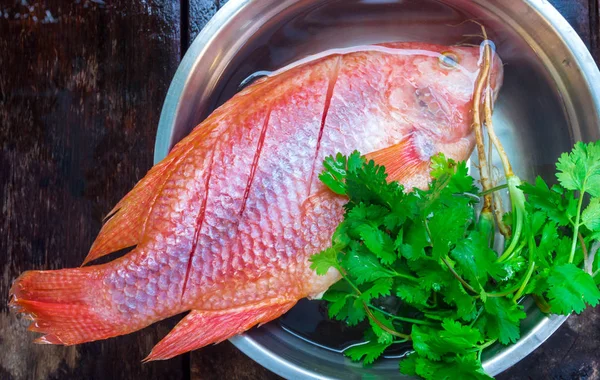 Ikan segar dibekukan Bersiaplah untuk memasak — Stok Foto