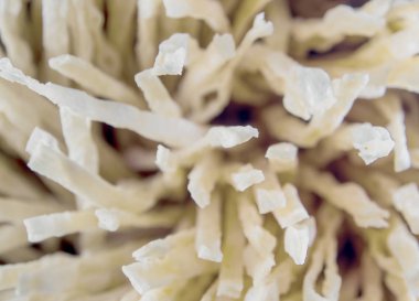 beyaz arka planda izole balık çerez lezzet