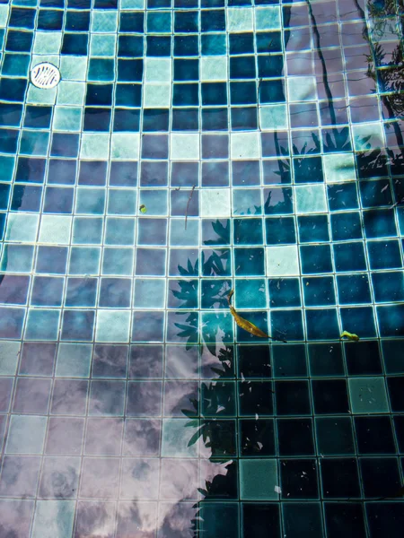 Reflexão de árvores na piscina — Fotografia de Stock