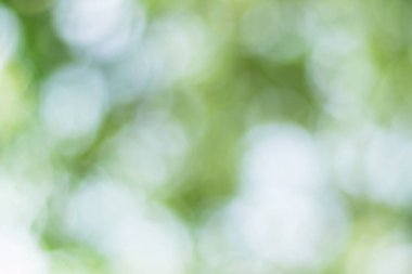 Işıklar ve yeşil, doğanın bulanık arka planında sarı bokeh. Açık hava bokeh doğal sarı ve yeşil tonlarda soyut arkaplan