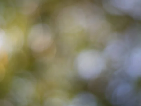 Lumières Vert Avec Bokeh Jaune Sur Fond Flou Abstrait Défocus — Photo