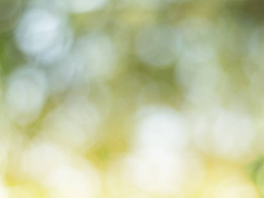 Işıklar ve yeşil, doğanın bulanık arka planında sarı bokeh. Açık hava bokeh doğal sarı ve yeşil tonlarda soyut arkaplan
