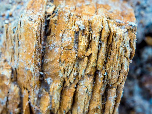 Texture Stone Surface Rocky Mountain — Stock Photo, Image