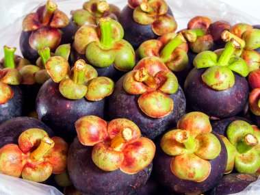 Taze mangosten meyve meyve bahçesi paketi içinde şeffaf plastik çuval Toptan