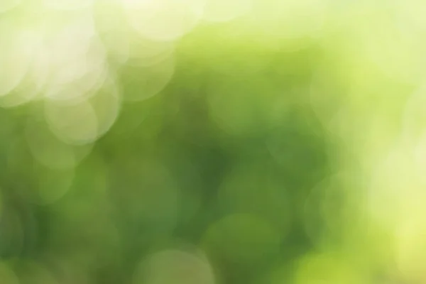 Licht Groen Met Gele Bokeh Natuur Defocus Abstracte Wazige Achtergrond — Stockfoto