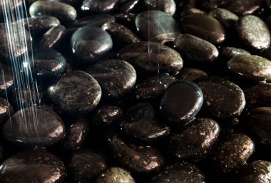 Yuvarlak siyah taşın parlak yüzeyi şelalenin yanında.