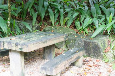 Ahşap Bank veya Park Singapur izole sandalye