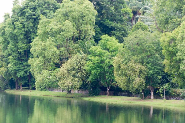 Пейзаж вид на реку и лес с голубым небом — стоковое фото